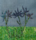 close up of embroidery
