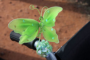attach butterflies to wheelchair